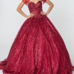 Ball Gowns/ Quinceanera